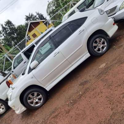 A picture of Harrier Kawundo 2008 48m