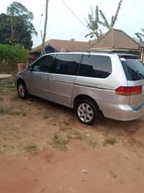 A picture of Honda Odyssey
