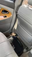 A picture of TOYOTA SPIDER CAMRY FOR SALE IN PHCT EVERYTHING IS SOUND