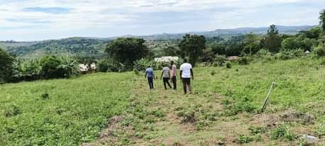 A picture of PLOTS LOCATED WAKISO KAKIRI LUWANO