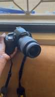 A picture of nikon d3100