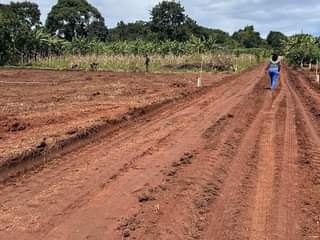 A picture of STRATEGIC AND AFFORDABLE PLOTS FOR SALE IN NAMUSERA WAKISO DISTRICT