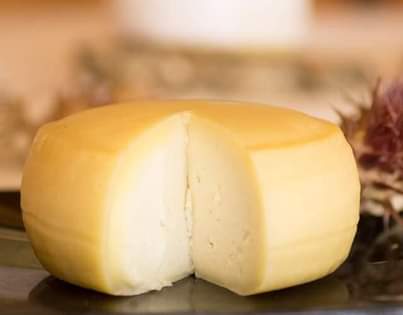 A picture of Cheese