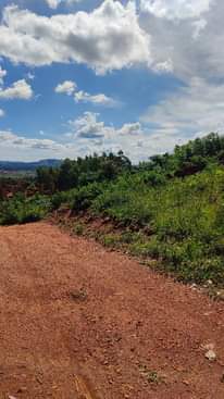 A picture of land for sale in wakiso 26 decimals