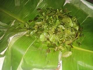 A picture of Miraa for sale