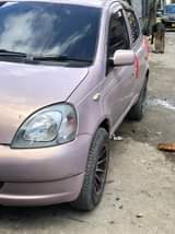 A picture of Vitz