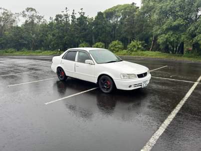 used toyota corolla