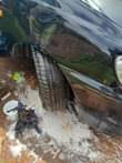 A picture of Toyota spacio 12m