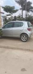 A picture of Vitz