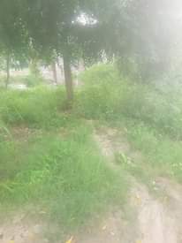 A picture of Kiwanja vigwaza mlandizi laki 8 tu