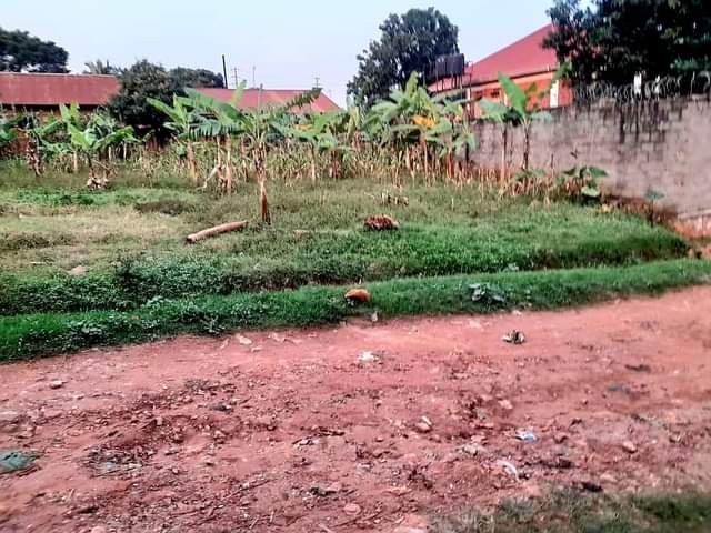 A picture of at Zana