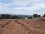 A picture of NEW PRIME ESTATE DEAL 50X100FT AT NAMUGONGO SONDE AT UGX75M