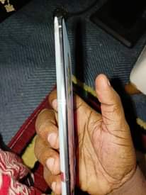 A picture of Simu