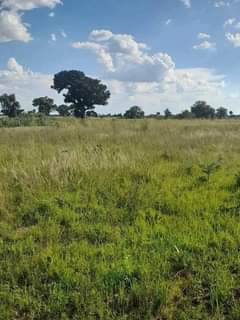 property marondera