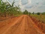 A picture of NEW ESTATE AT BUKALANGO ALONG HOIMA ROAD ESTATE ALONG HOIMA
