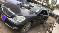 A picture of Brevis 0714127015