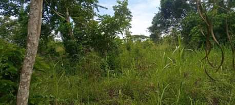 A picture of Land 5arces