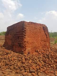 bricks