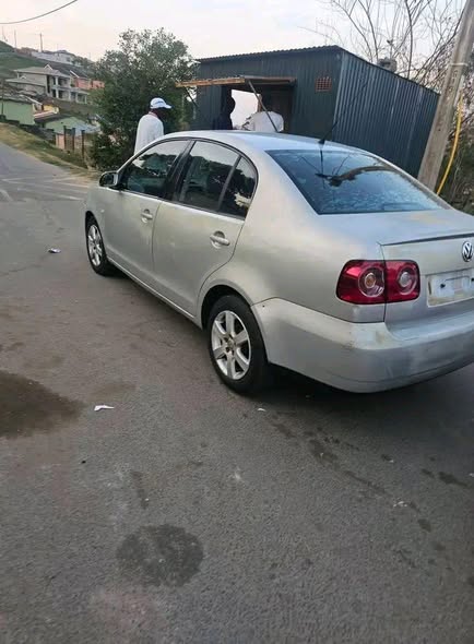 polo vivo