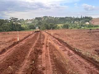 A picture of 50X100 PLOTS FOR SALE IN NAMUSERA WAKISO