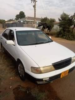 used nissan sunny