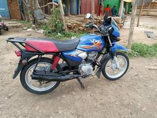tvs hlx