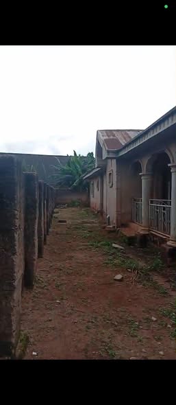 A picture of House