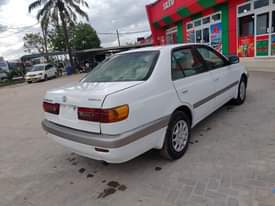 A picture of PREMIO OLD