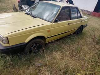 used nissan sunny