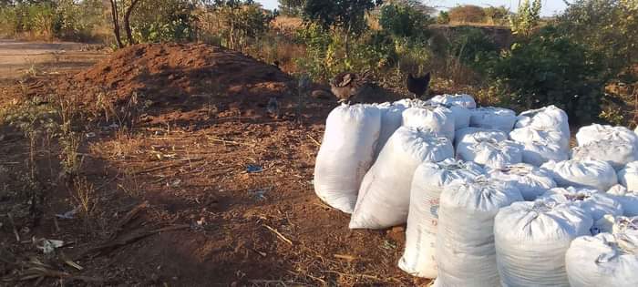 Malawi F.