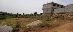 A picture of Plot