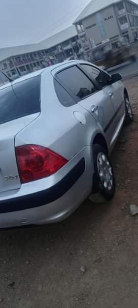 A picture of Peugeot 307