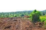 A picture of CHRISTMAS DISCOUNT NAMANYUMBA TOWN ESTATE 1KM OFF TARMAC ROAD TO