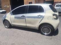 Sparesmania M.