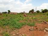 A picture of Plot on quick sale 24m located at matugga Plot size