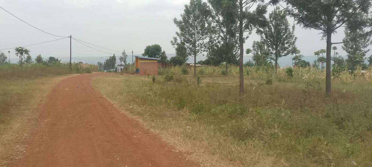 land