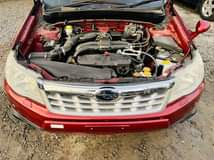 A picture of Subaru Forester XT