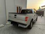 A picture of Ford F150 2009 model