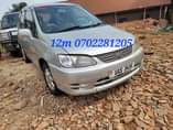 A picture of Cars on sell