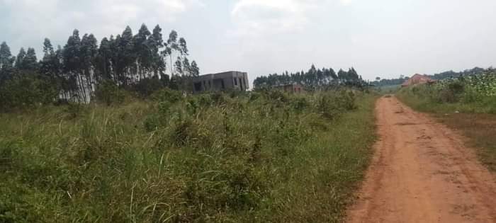 houses matugga