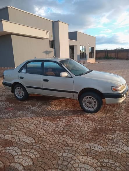 used toyota corolla