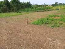 A picture of Mukono kalaji town plots on quick sale