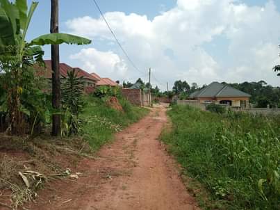 A picture of Good plot for both rentals and residential establishment is up