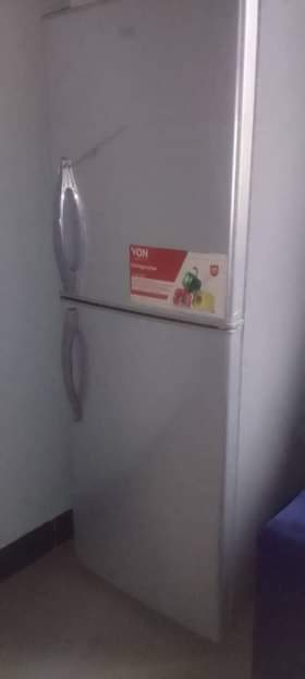 A picture of Friji