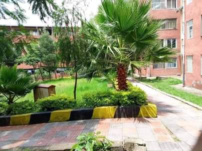 apartments