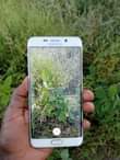 A picture of Samsung s6 edge plus gb32 ram4