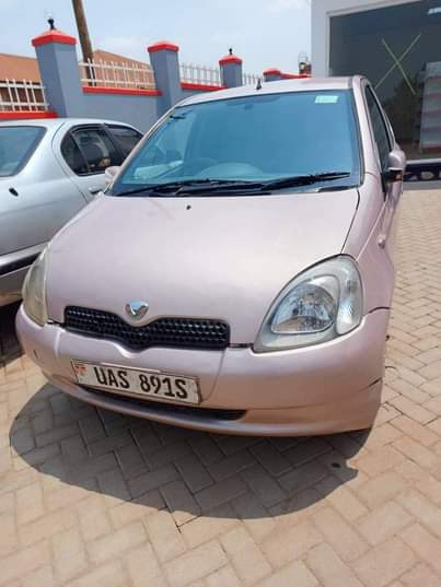 A picture of Vitz