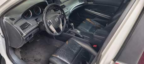A picture of Honda Accord 2008