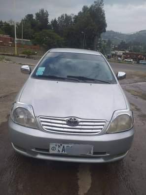 cars