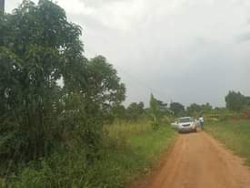 A picture of Land